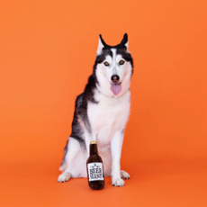 Petshop by Fringe Studio Beer Season Antlers Plush Dog Toy