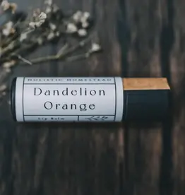 Holistic Homestead Herbal Lip Balm Dandelion Orange