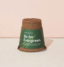 One-For One Tree Kit- Loblolly Pine