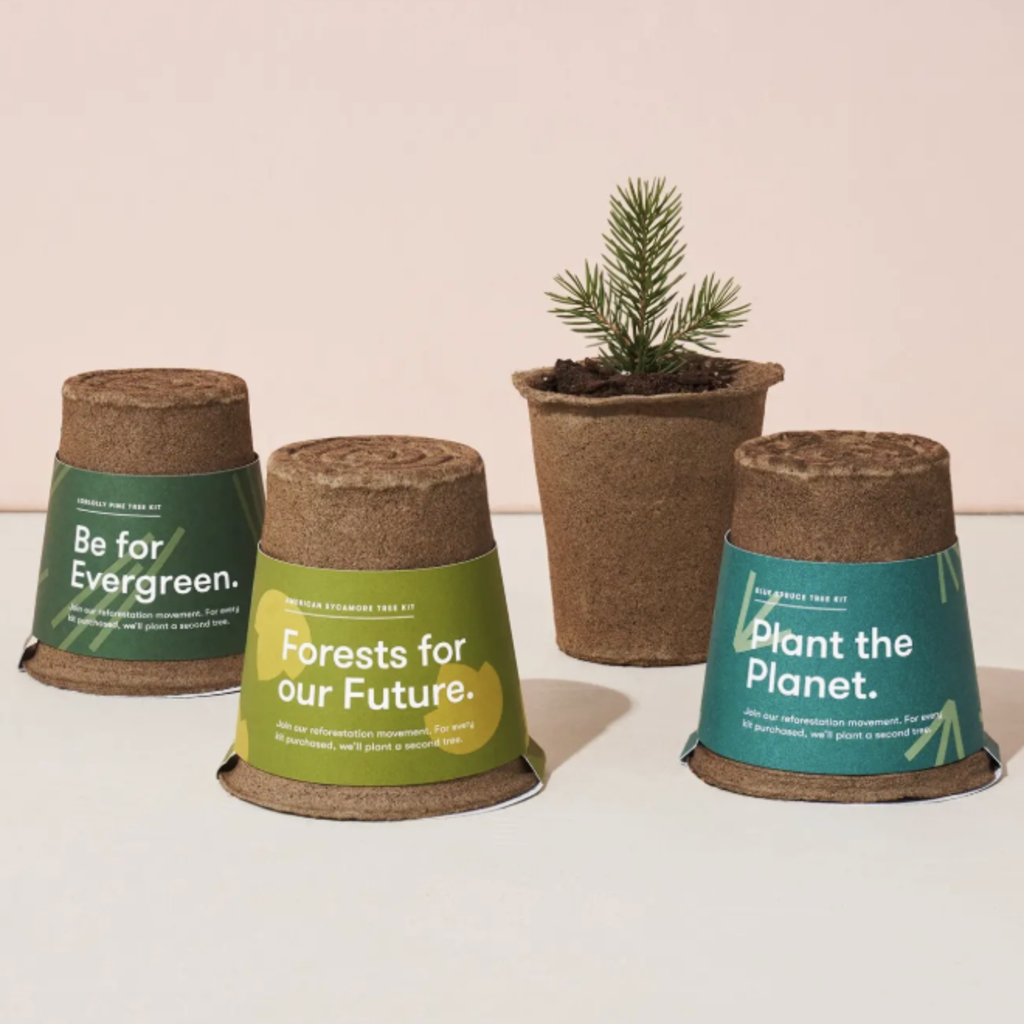 One-For One Tree Kit- Loblolly Pine