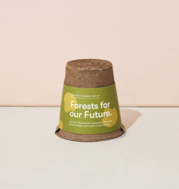 One-For One Tree Kit- American Sycamore