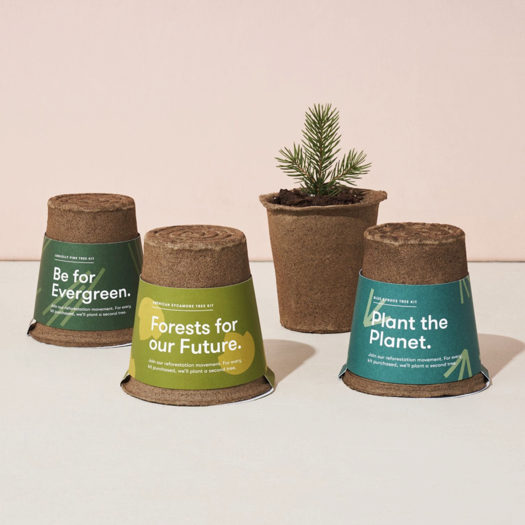 One-For One Tree Kit- American Sycamore