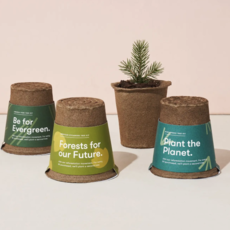 One-For One Tree Kit- Blue Spruce