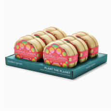 Curious Critters Activity Kit - Ladybug