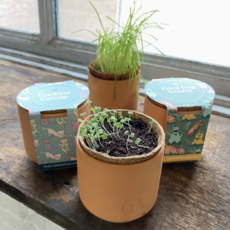 Tiny Terracotta Pet Grow Kits- Curious Catnip