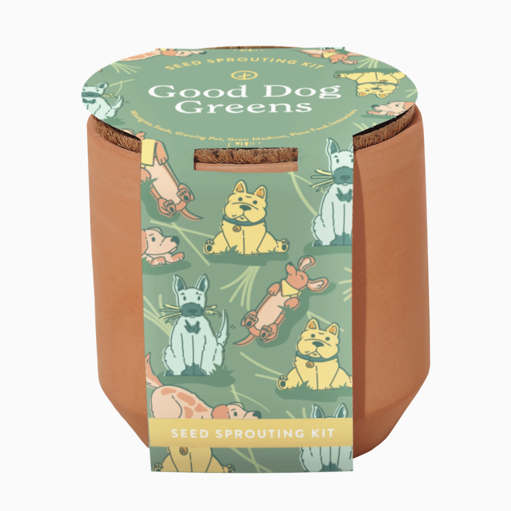 Tiny Terracotta Pet Grow Kits- Good Dog Greens