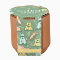 Tiny Terracotta Pet Grow Kits- Good Dog Greens