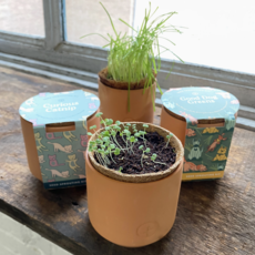 Tiny Terracotta Pet Grow Kits- Good Dog Greens