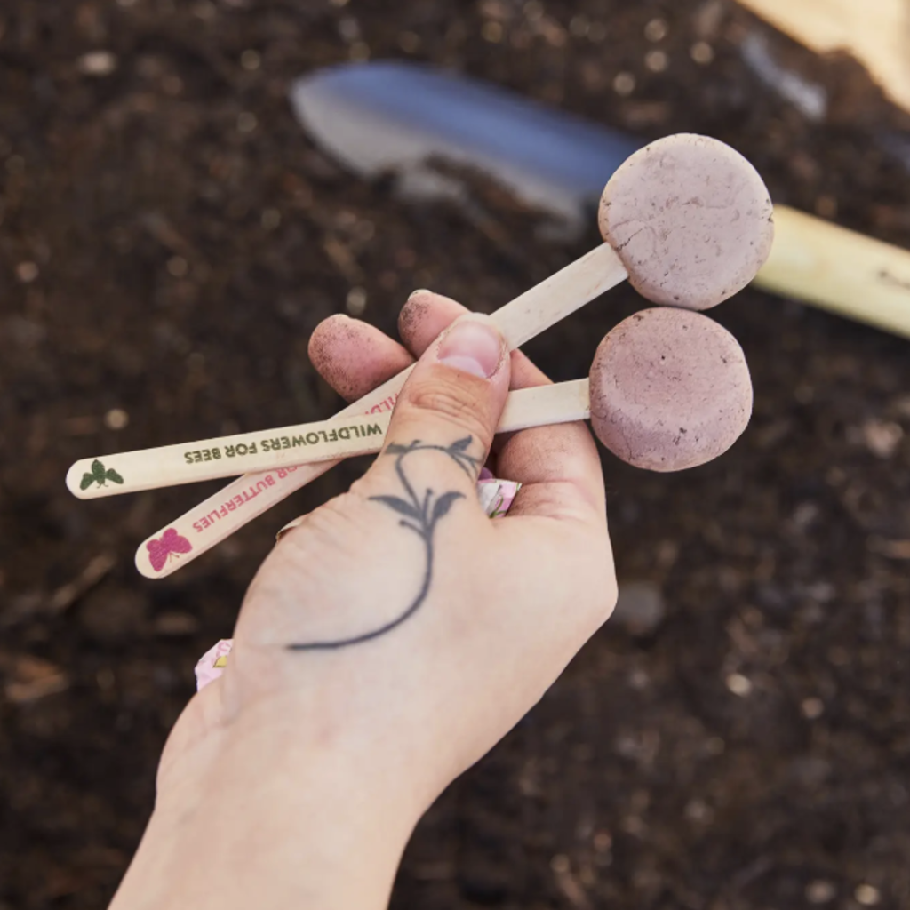 Pollinator Seed Pops