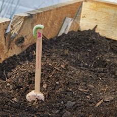 Pollinator Seed Pops