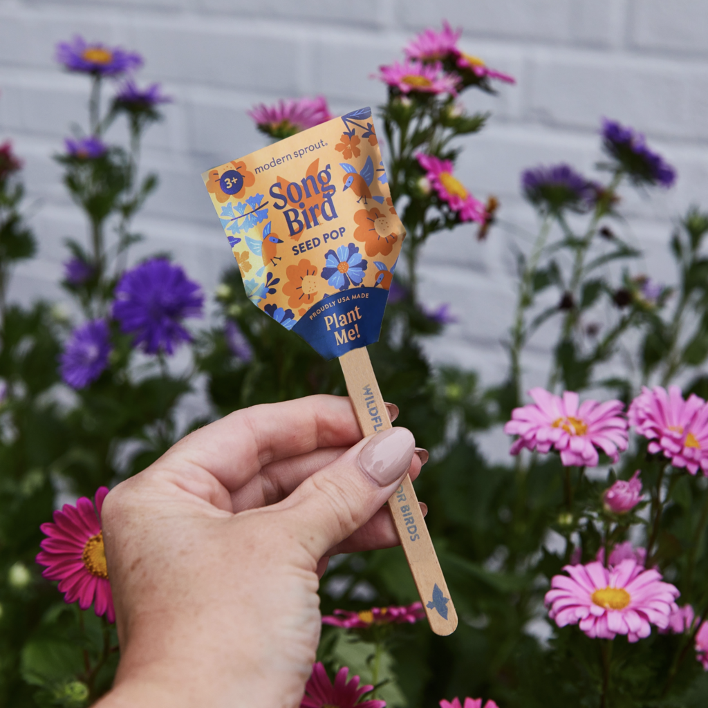 Pollinator Seed Pops