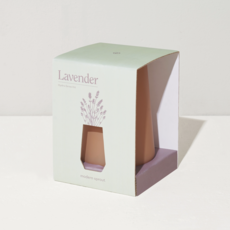 Tapered Tumbler- Lavender