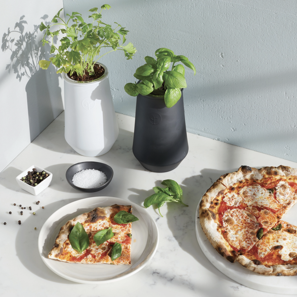 Tapered Tumbler- Lavender