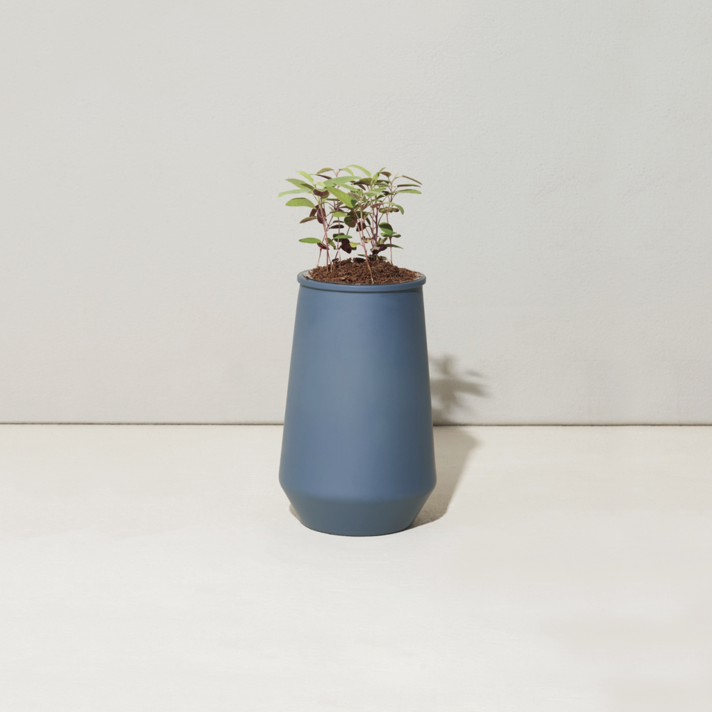 Tapered Tumbler- Eucalyptus
