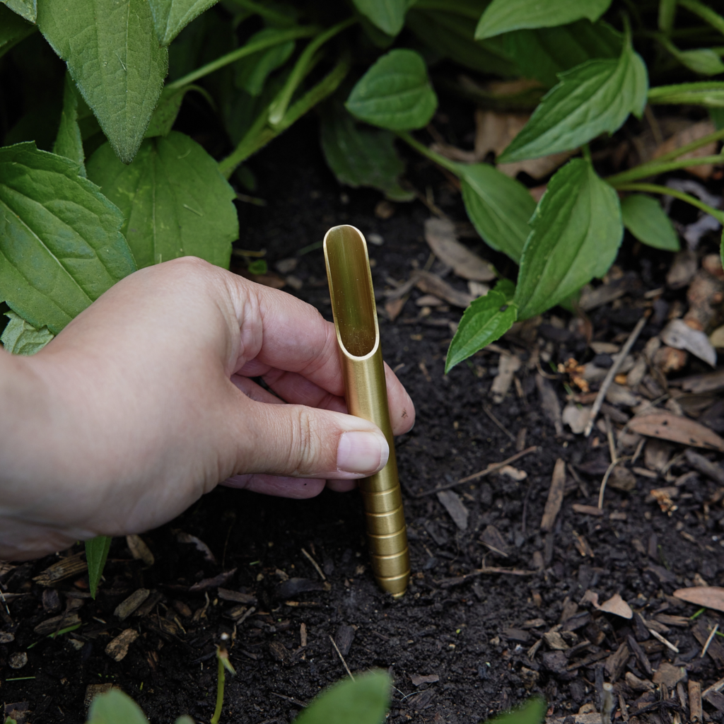 Seed Library- Enchanted Garden