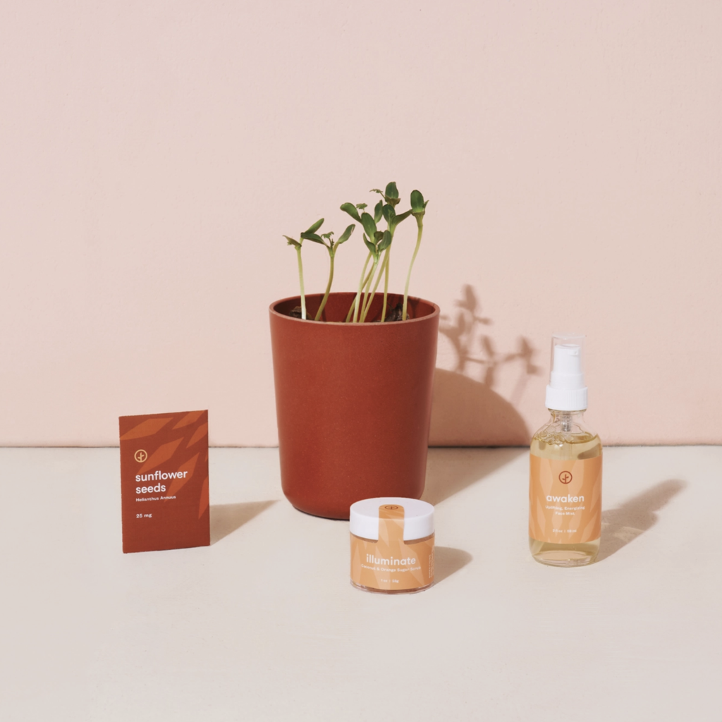 Shine Bright - Radiant Positivity Kit