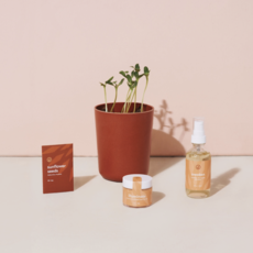 Shine Bright - Radiant Positivity Kit