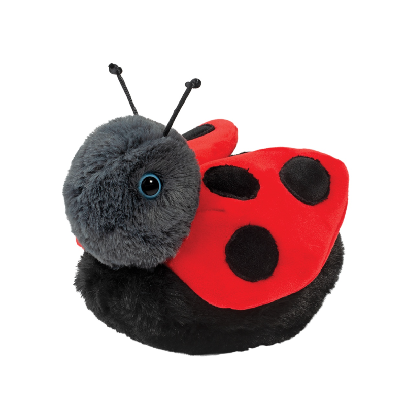 Bert Ladybug