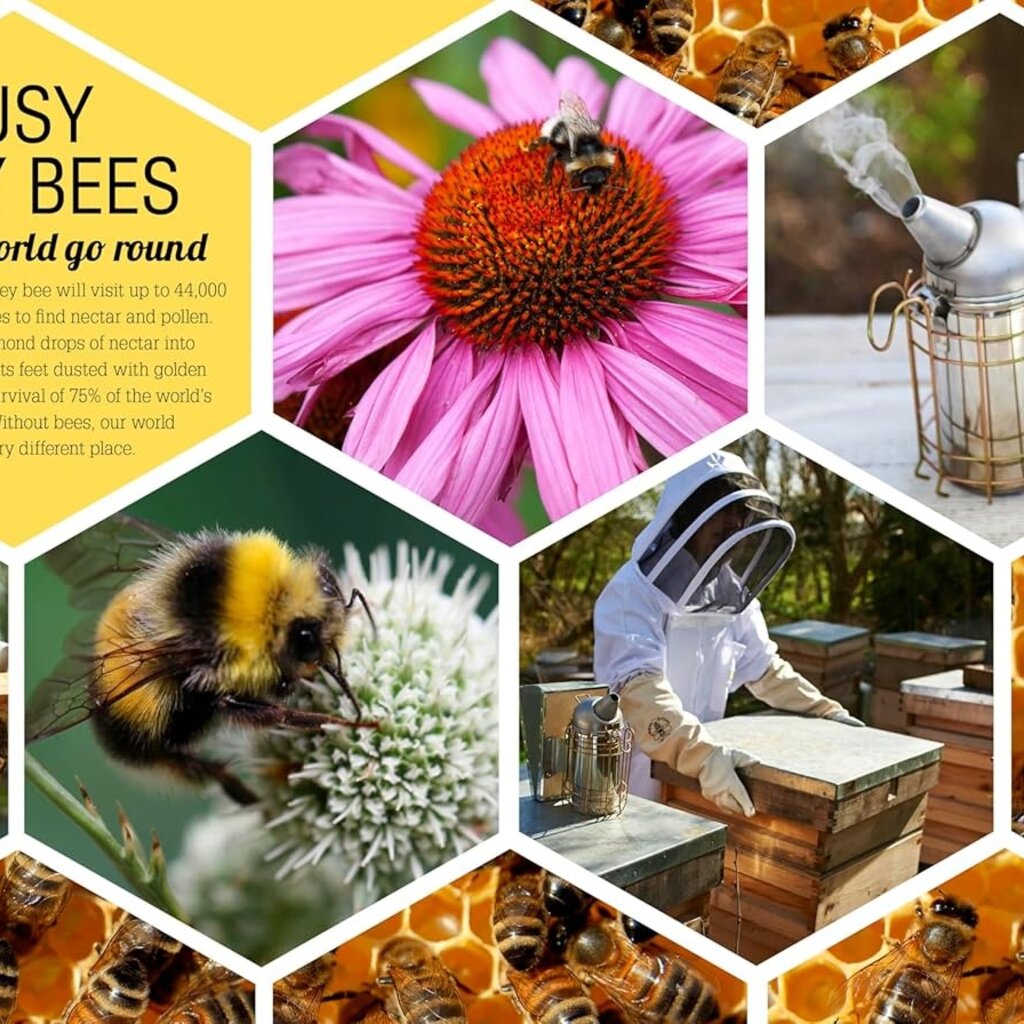 The Bee Book: Discover the Wonder of Bees and How to Protect Them for Generations to Come