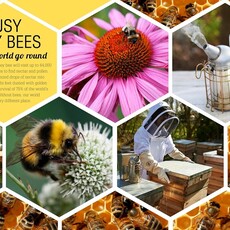The Bee Book: Discover the Wonder of Bees and How to Protect Them for Generations to Come