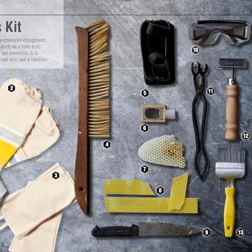 DK The Bee Book: Discover the Wonder of Bees and How to Protect Them for Generations to Come