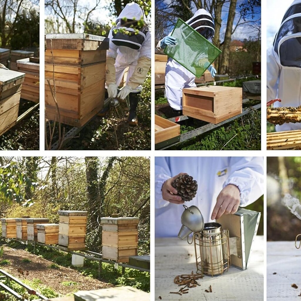 The Bee Book: Discover the Wonder of Bees and How to Protect Them for Generations to Come