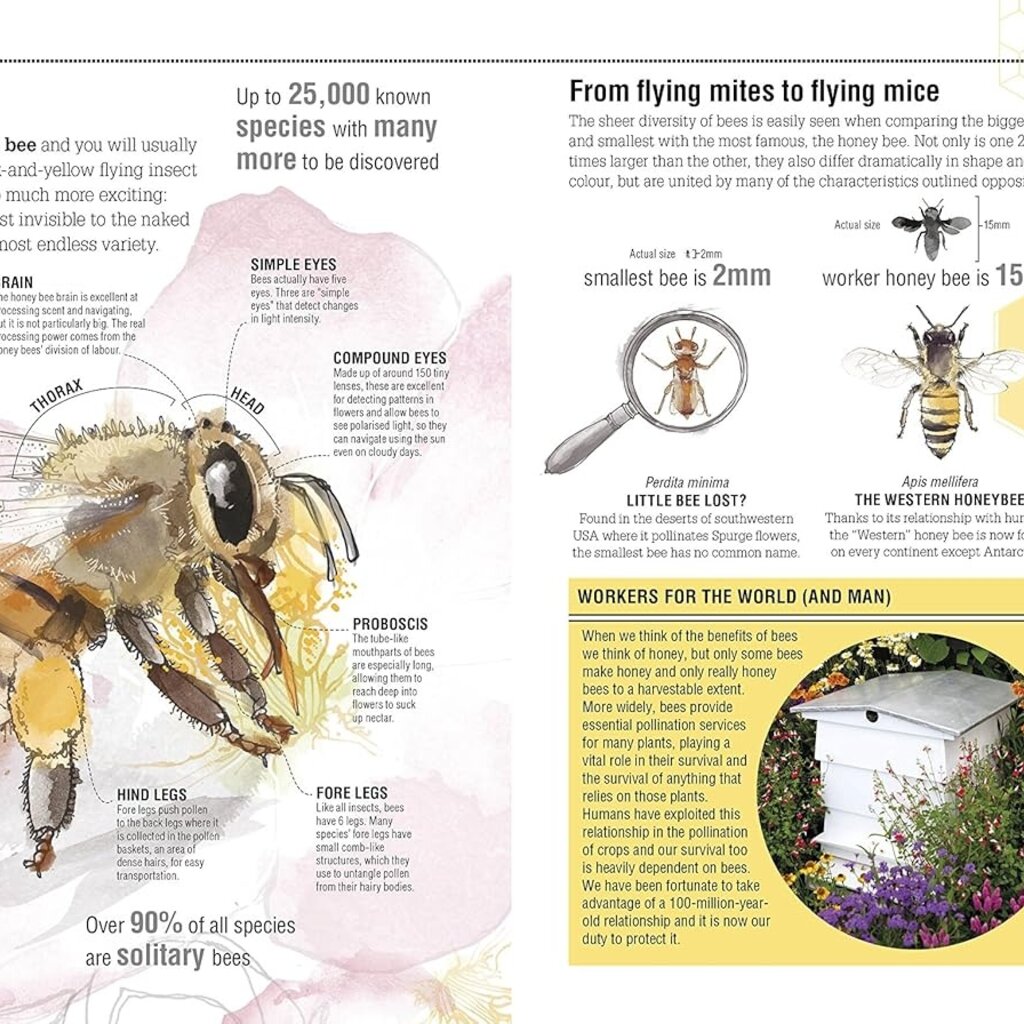 DK The Bee Book: Discover the Wonder of Bees and How to Protect Them for Generations to Come