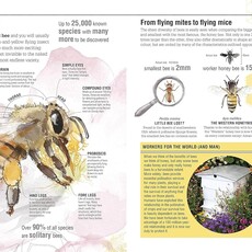 DK The Bee Book: Discover the Wonder of Bees and How to Protect Them for Generations to Come
