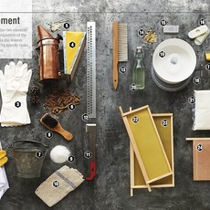 DK Editors The Bee Book: Discover the Wonder of Bees and How to Protect Them for Generations to Come