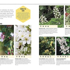 The Bee Book: Discover the Wonder of Bees and How to Protect Them for Generations to Come