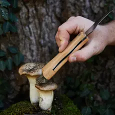 Gentlemen's Hardware Foraging Knife Tool