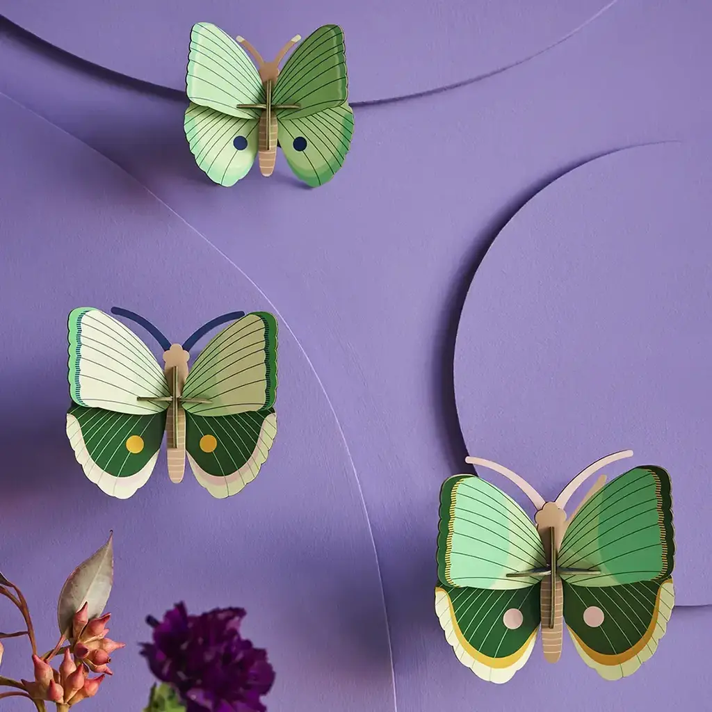 Studio Roof Wall Decoration - Fern Striped Butterflies, Set of 3