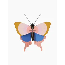 Studio Roof Wall Decoration - Gold Rim Butterfly