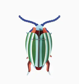 Rainbow Leaf Beetle