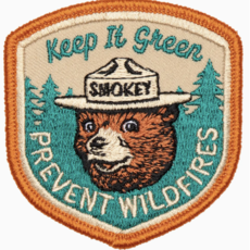 The Landmark Project Keep It Green Embroidered Patch