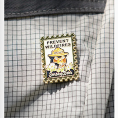 Smokey Bear Postage Stamp Pin