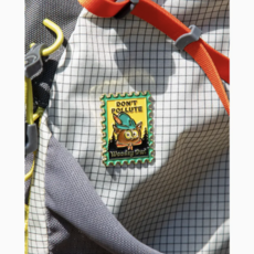 Woodsy Owl Postage Stamp Pin