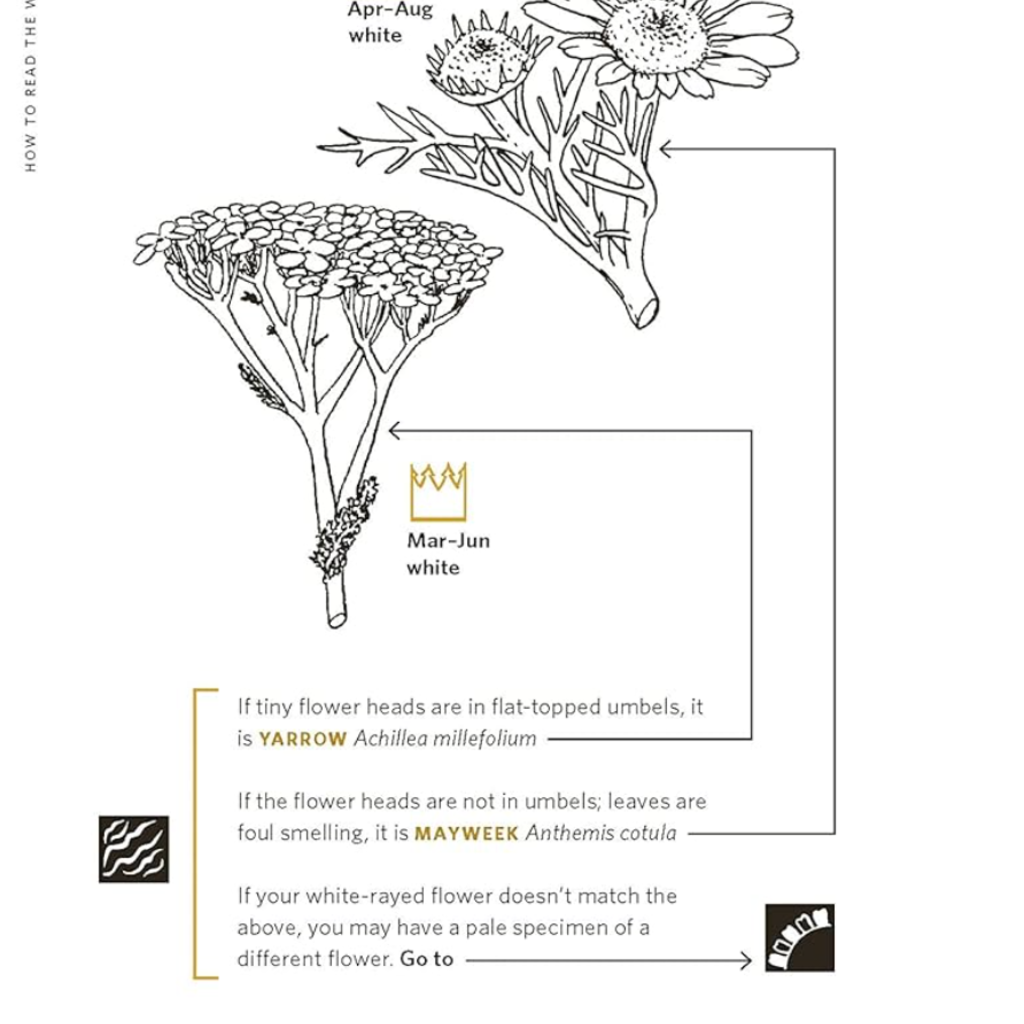 Nature Study Guild How to Read the Wilderness: An Illustrated Guide to the Natural Wonders of North America
