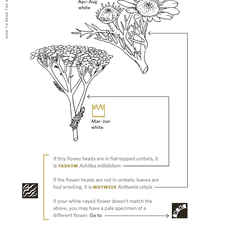 Nature Study Guild How to Read the Wilderness: An Illustrated Guide to the Natural Wonders of North America