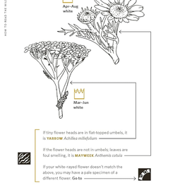 Nature Study Guild How to Read the Wilderness: An Illustrated Guide to the Natural Wonders of North America