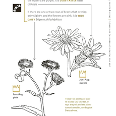 Nature Study Guild How to Read the Wilderness: An Illustrated Guide to the Natural Wonders of North America