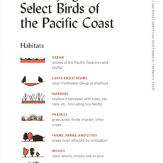 Nature Study Guild How to Read the Wilderness: An Illustrated Guide to the Natural Wonders of North America