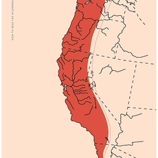 Nature Study Guild How to Read the Wilderness: An Illustrated Guide to the Natural Wonders of North America
