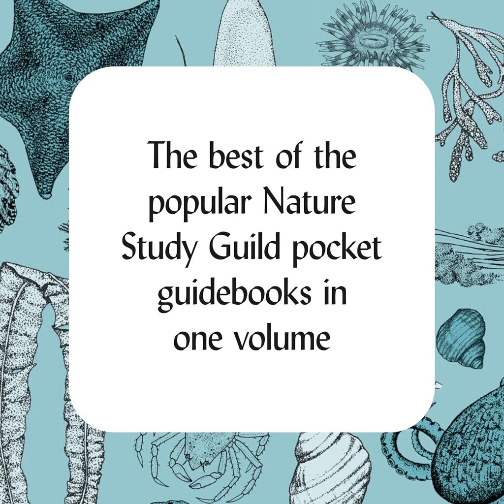 Nature Study Guild How to Read the Wilderness: An Illustrated Guide to the Natural Wonders of North America