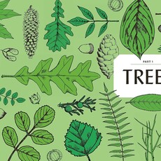 Nature Study Guild How to Read the Wilderness: An Illustrated Guide to the Natural Wonders of North America