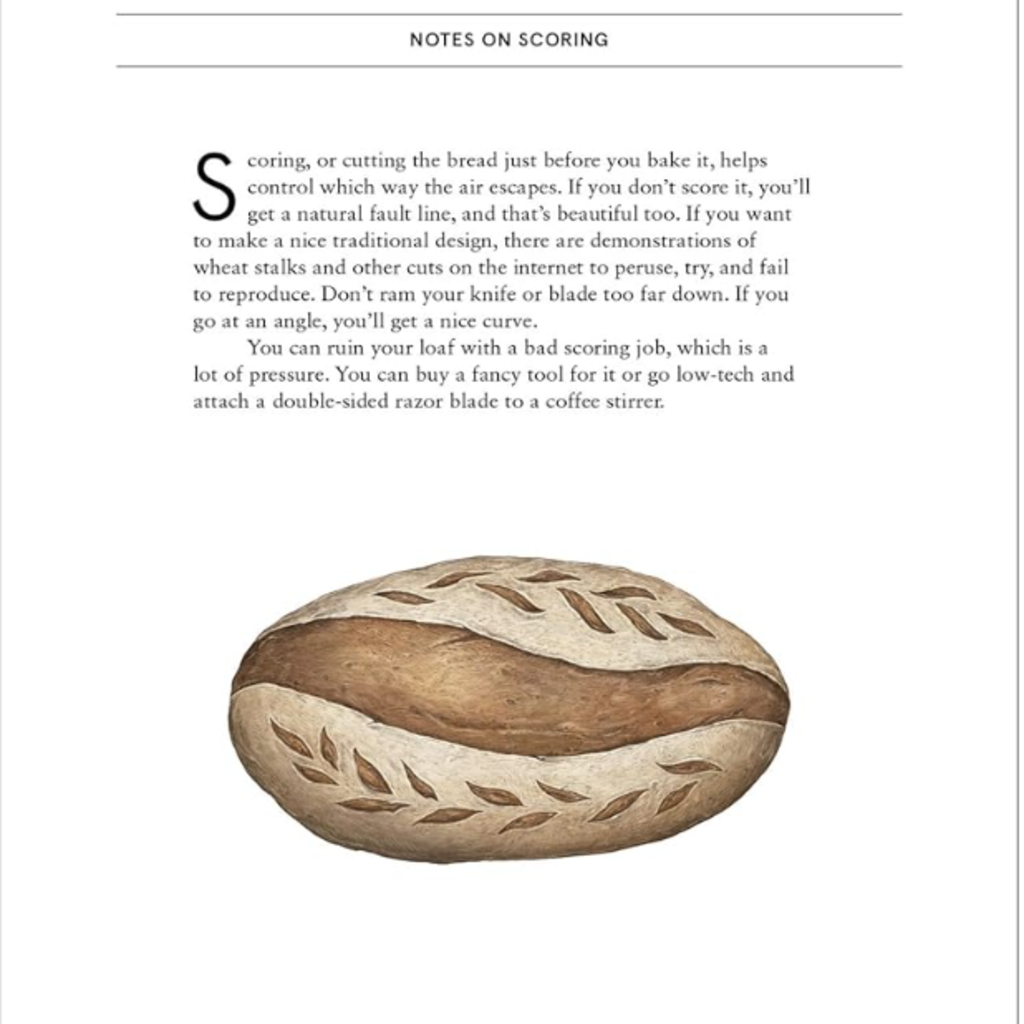 Princeton Architectural Press The Bread Baker's Notebook