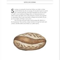 Princeton Architectural Press The Bread Baker's Notebook