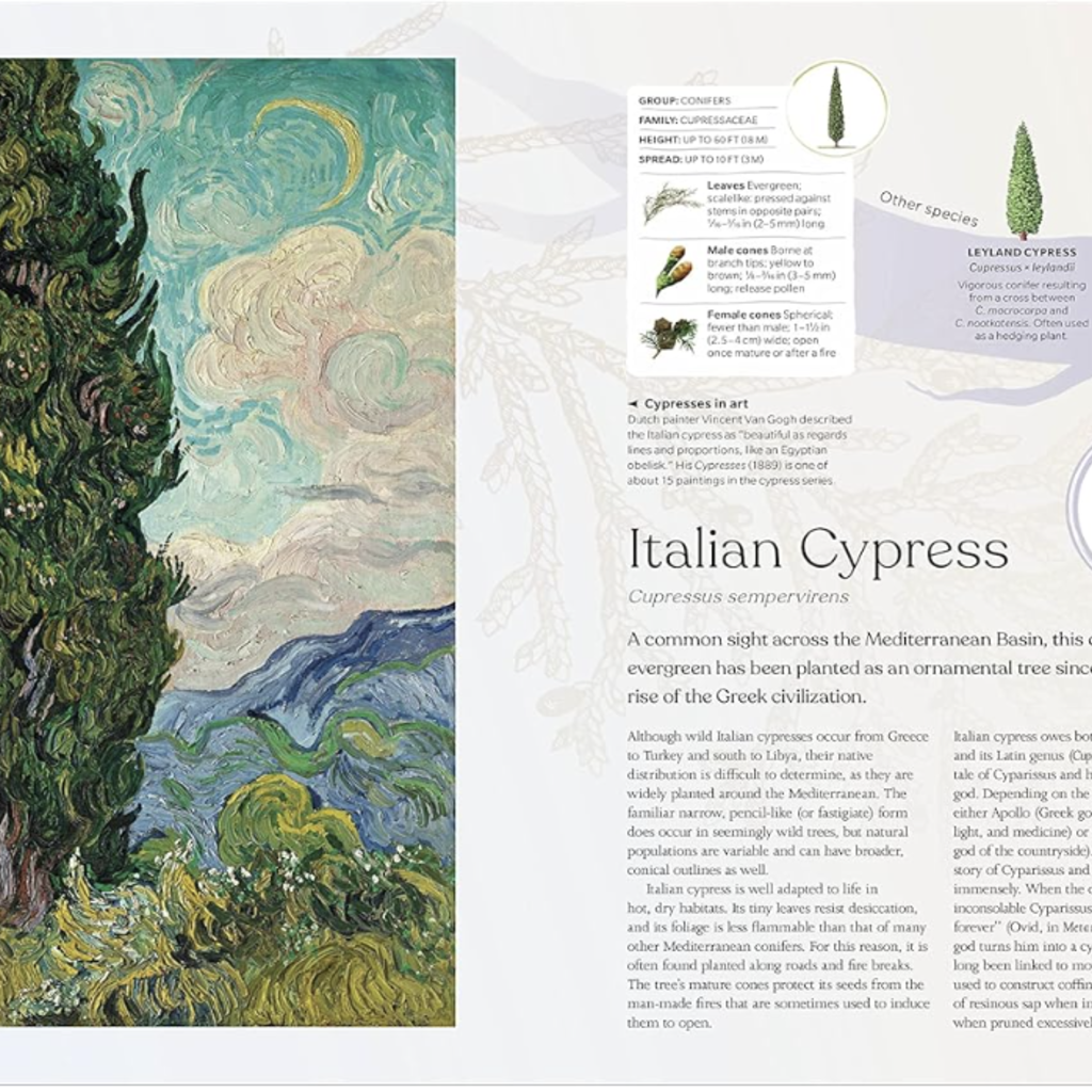 DK Editors The Tree Book: The Stories, Science, and History of Trees