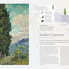 DK The Tree Book: The Stories, Science, and History of Trees