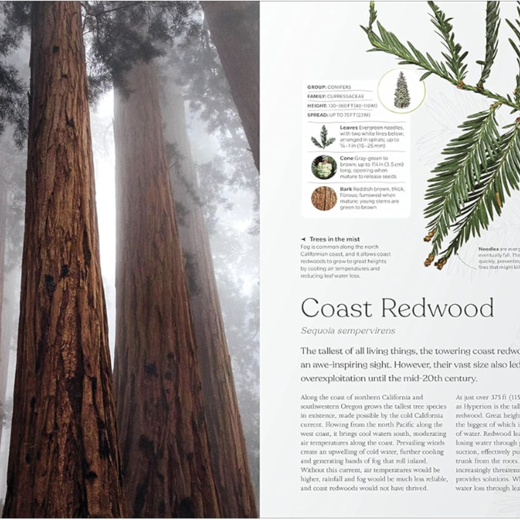 DK The Tree Book: The Stories, Science, and History of Trees